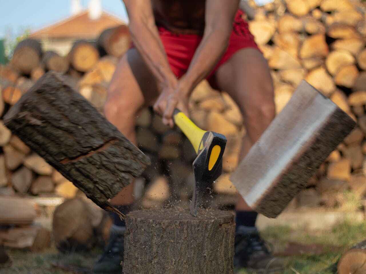 Best Tree Branch Trimming  in Fort Myers, FL